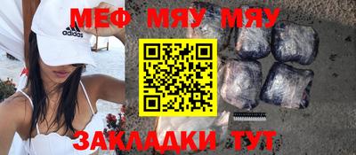 индика Камышлов