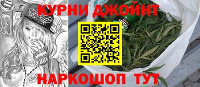 индика Камышлов