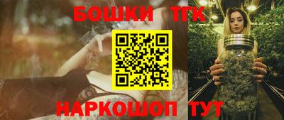 индика Камышлов