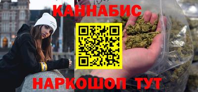 индика Камышлов