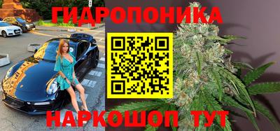 индика Камышлов