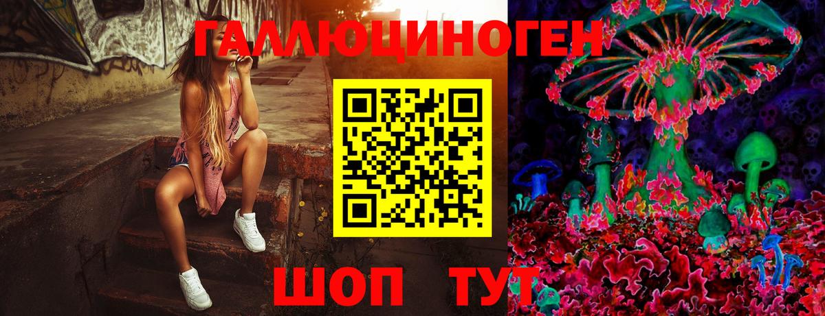 Галлюциногенные грибы мухоморы  Вход с VPN  Ялта 